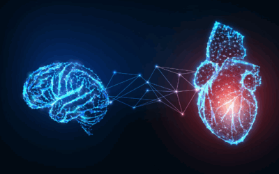 CONSCIENCIA Y ENVEJECIMIENTO CEREBRAL