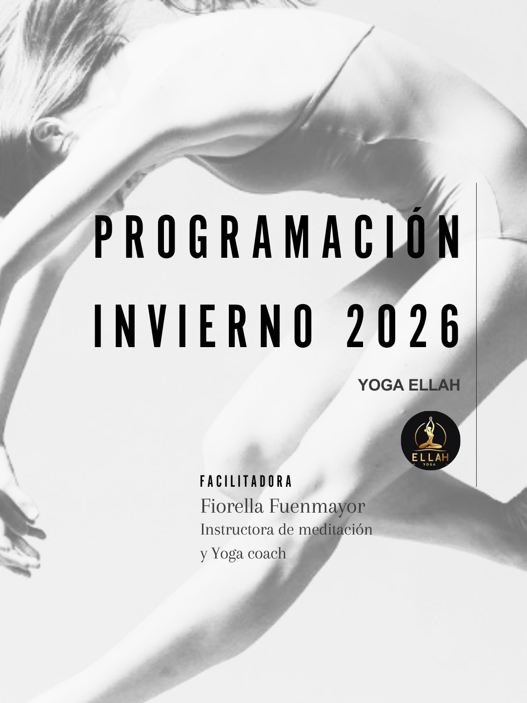 CURSO DE YOGA SOMÁTICO Y MEDITACIÓN INTEGRAL (con adaptaciones especiales)